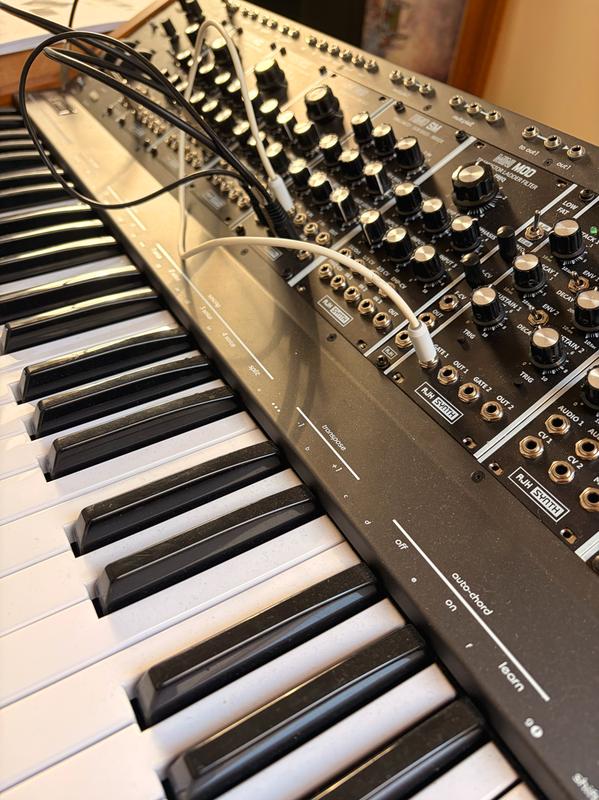 Moog Voyager and Rhodes